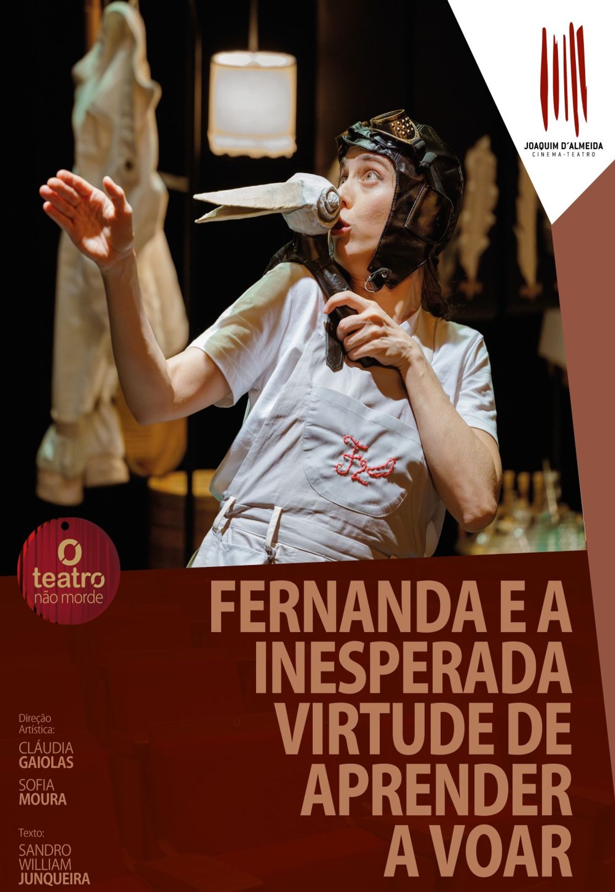 Poster for FERNANDA E A VIRTUDE INESPERADA DE APRENDER A VOAR