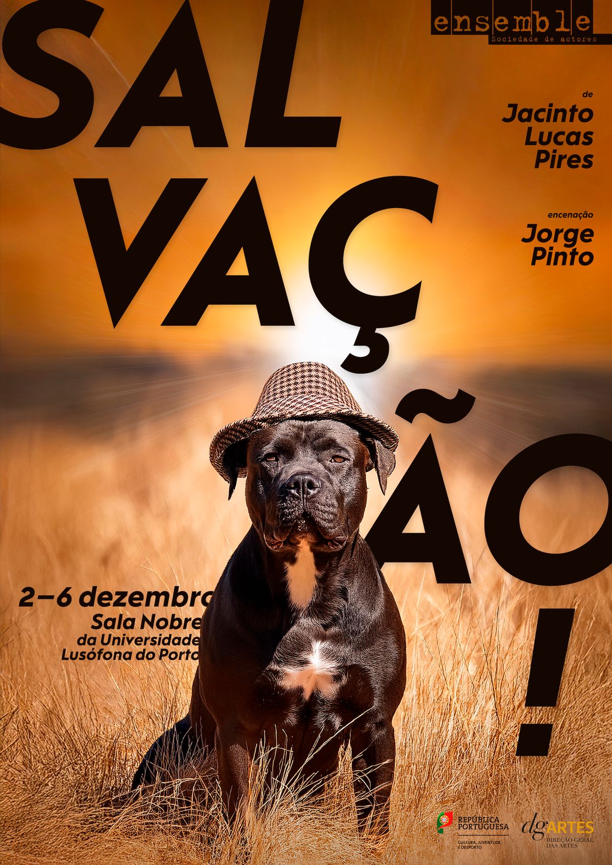 Poster for SALVAÇÃO!