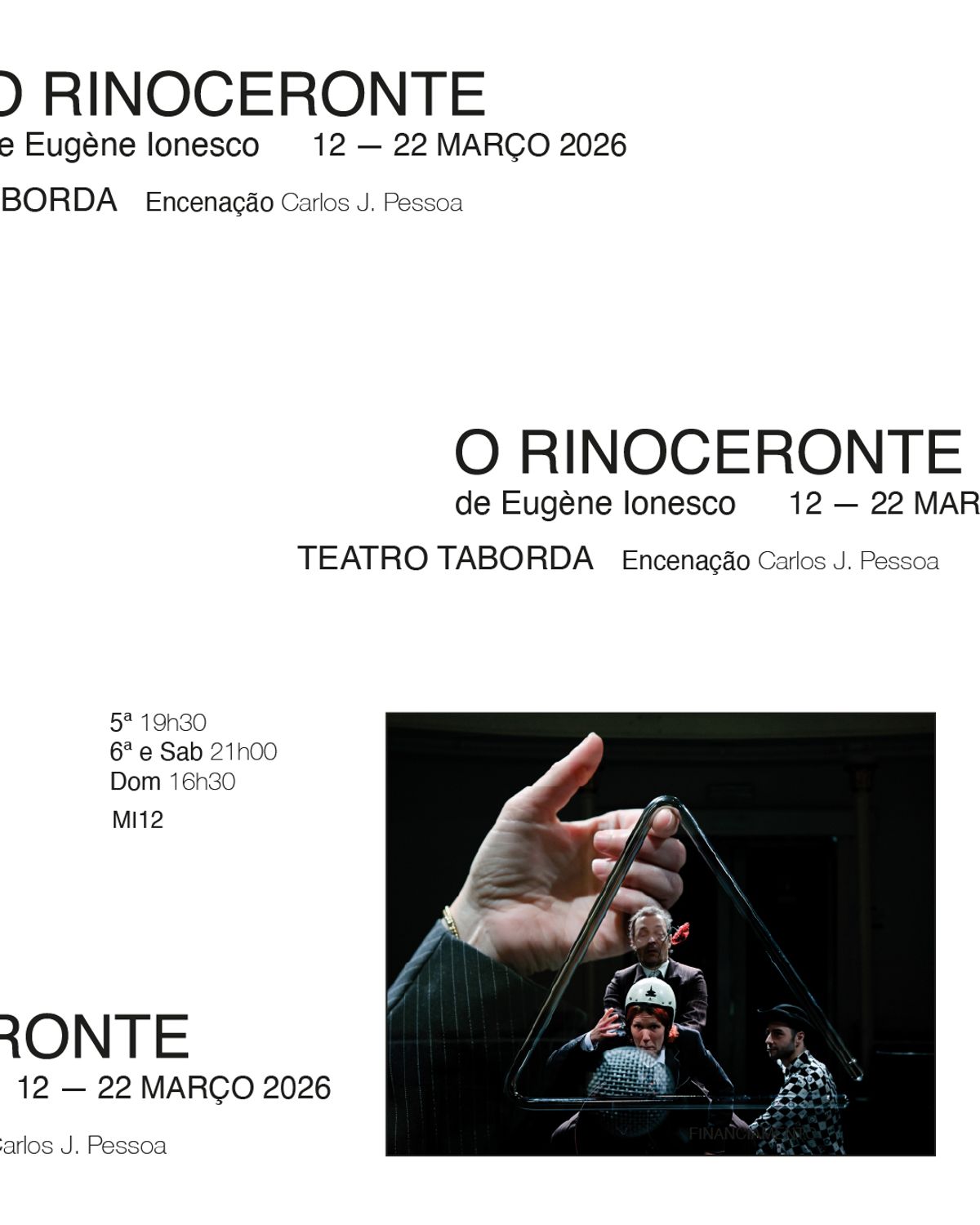 Poster for O Rinoceronte